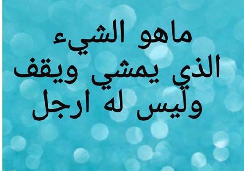 ما هو الشيء الذي يمشي ويقف وليس له أرجل؟